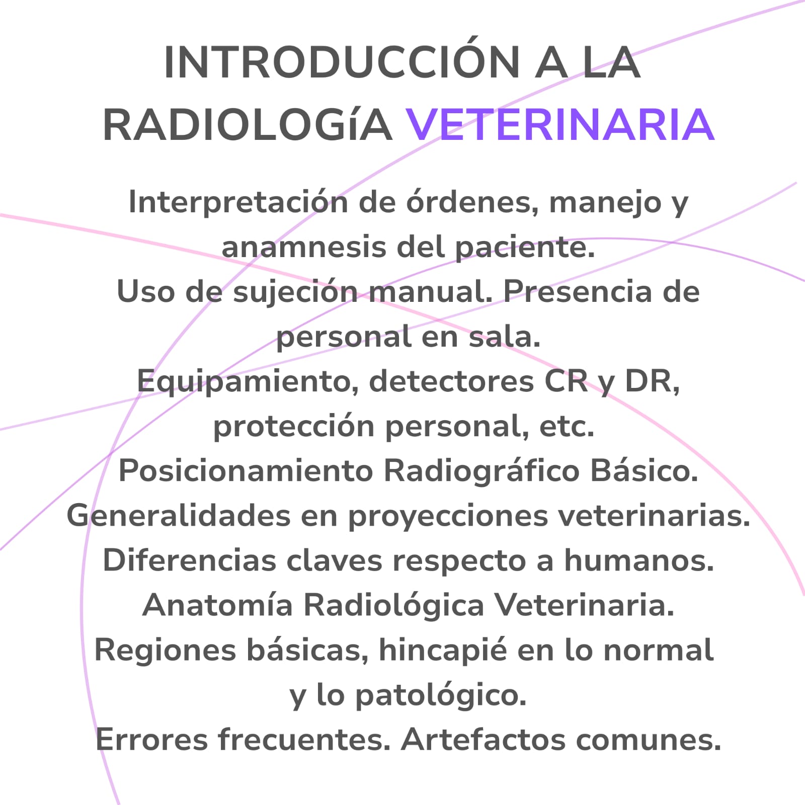 WhatsApp Image 2026-01-26 at 8.29.45 PM (1)