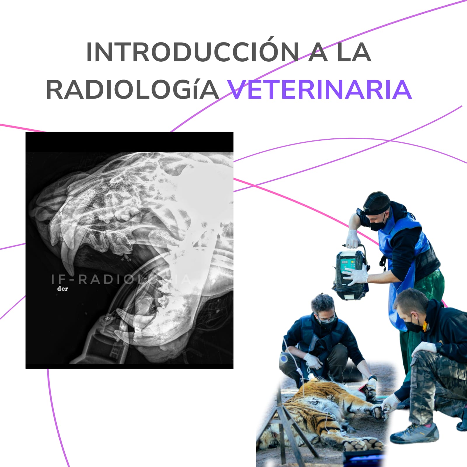 WhatsApp Image 2026-01-26 at 8.29.45 PM (3)