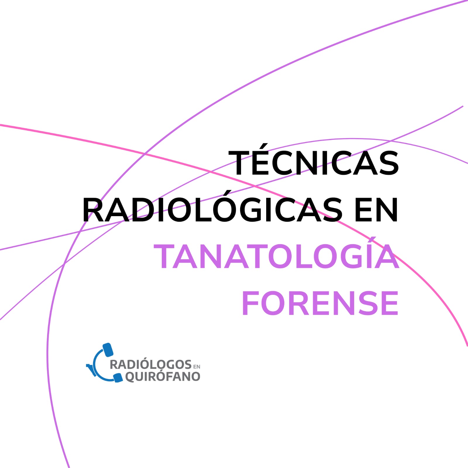 WhatsApp Image 2026-03-16 at 12.27.33 PM