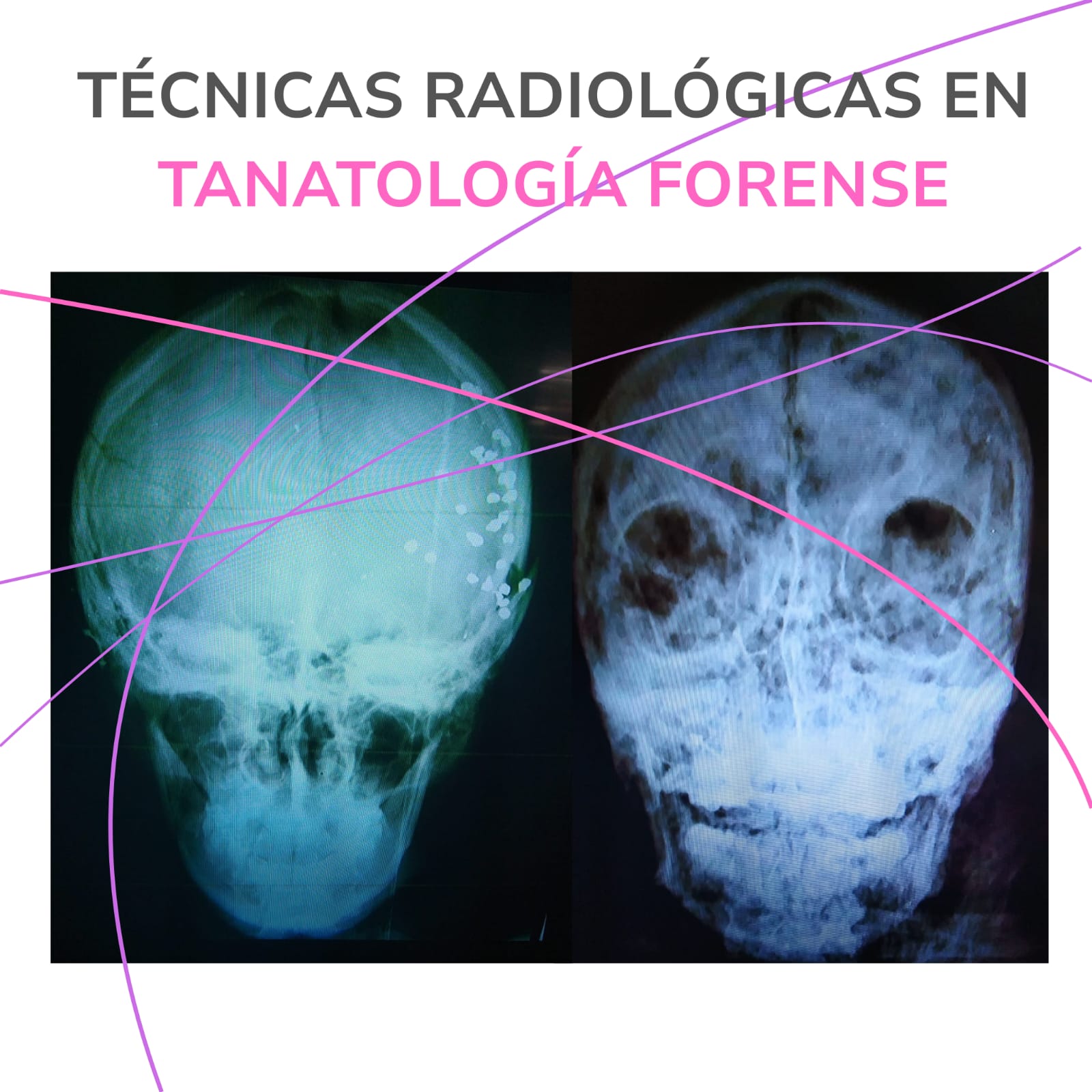 WhatsApp Image 2026-03-16 at 12.27.34 PM (2)